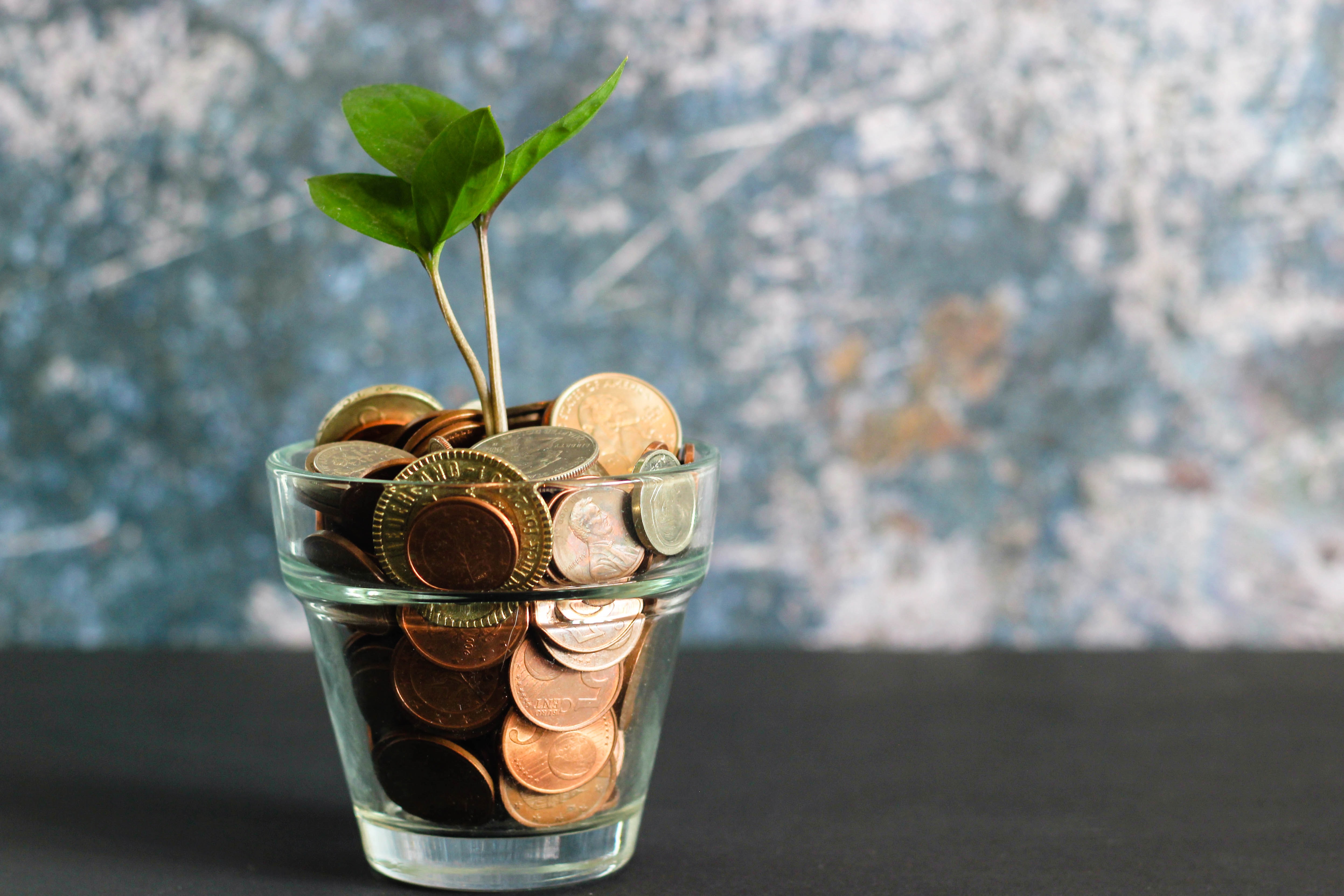 Fees Pages for Financial Advisors